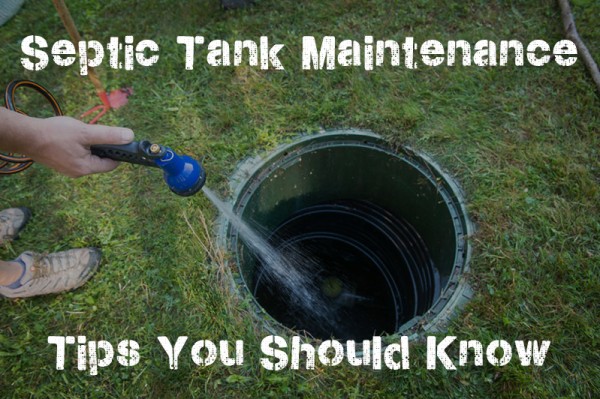 septic tank bacteria